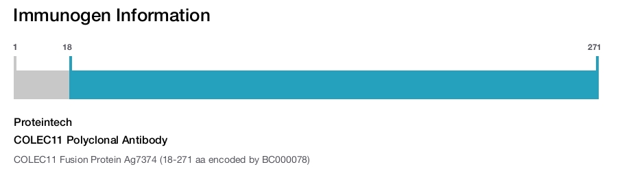COLEC11 Polyclonal Antibody