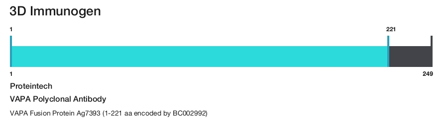 VAPA Polyclonal Antibody