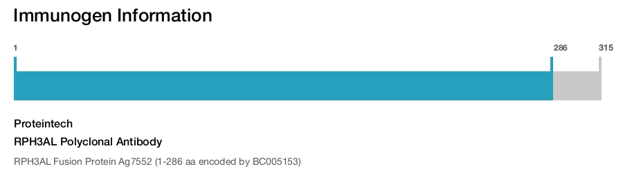 RPH3AL Polyclonal Antibody