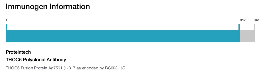 THOC6 Polyclonal Antibody