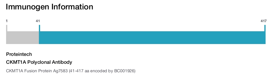 CKMT1A Polyclonal Antibody