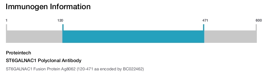 ST6GALNAC1 Polyclonal Antibody