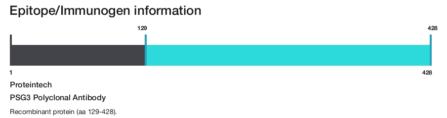 PSG3 Polyclonal Antibody