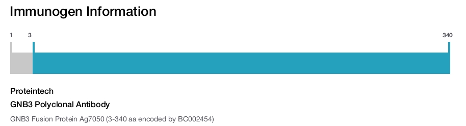 GNB3 Polyclonal Antibody
