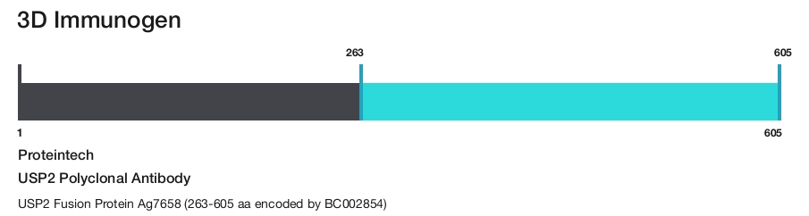 USP2 Polyclonal Antibody