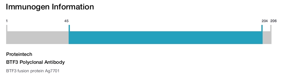 BTF3 Polyclonal Antibody