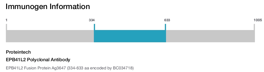 EPB41L2 Polyclonal Antibody