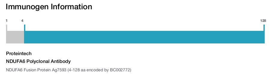 NDUFA6 Polyclonal Antibody