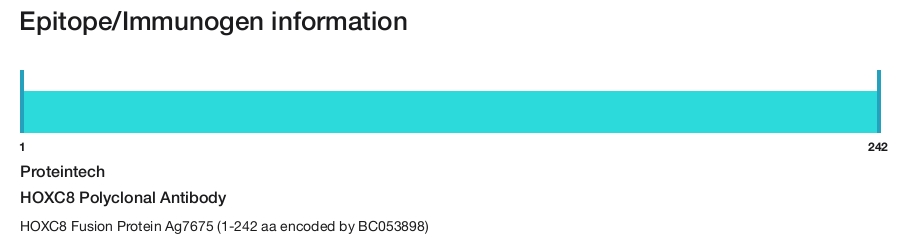 HOXC8 Polyclonal Antibody