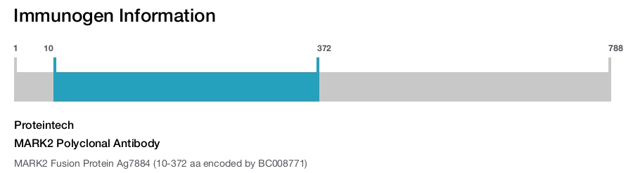 MARK2 Polyclonal Antibody