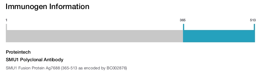 SMU1 Polyclonal Antibody