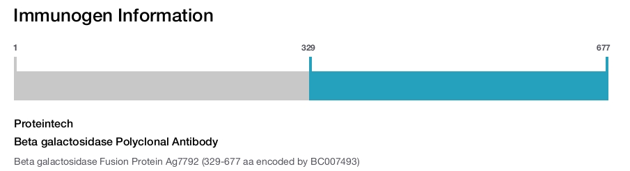 Beta galactosidase Polyclonal Antibody
