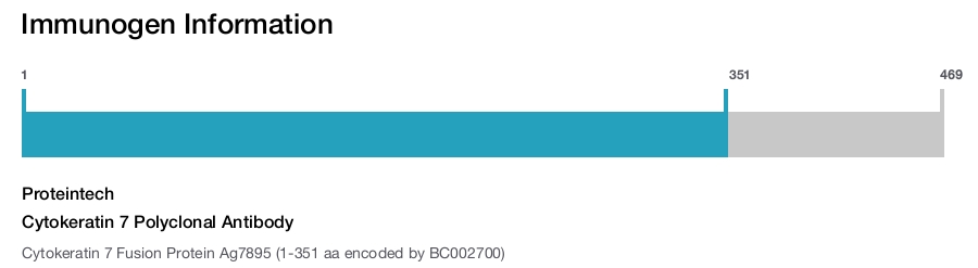 Cytokeratin 7 Polyclonal Antibody
