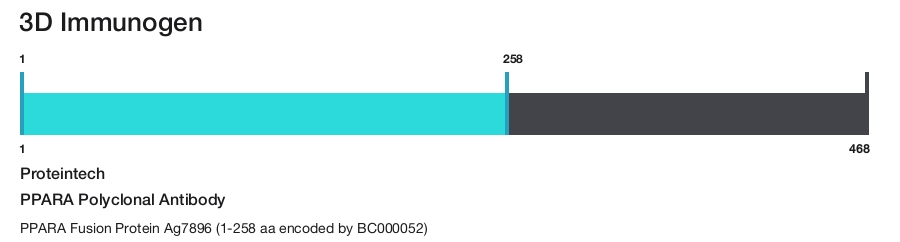 PPARA Polyclonal Antibody