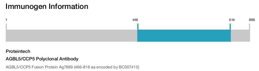 AGBL5/CCP5 Polyclonal Antibody