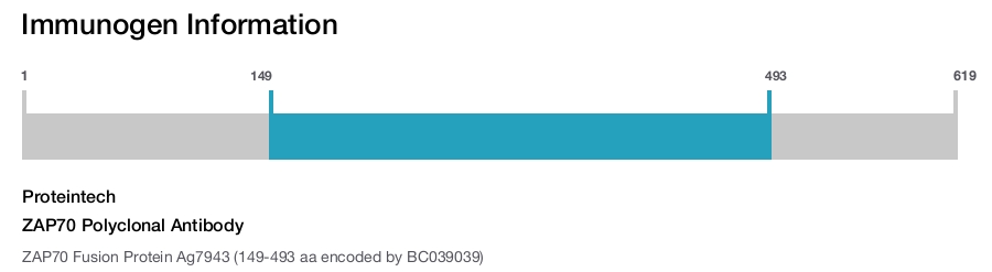 ZAP70 Polyclonal Antibody