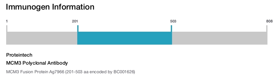 MCM3 Polyclonal Antibody