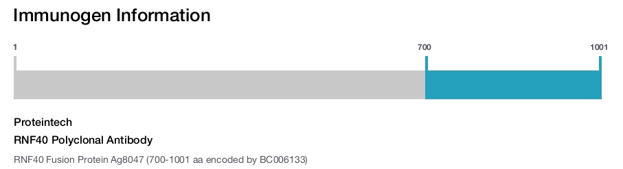 RNF40 Polyclonal Antibody