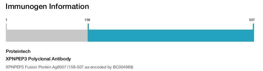 XPNPEP3 Polyclonal Antibody