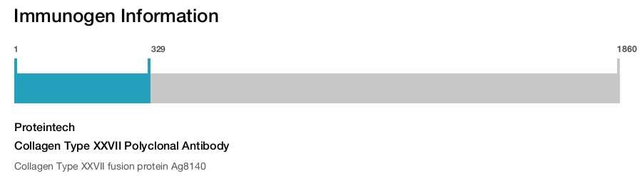 Collagen Type XXVII Polyclonal Antibody