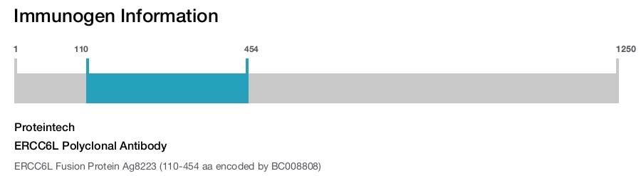 ERCC6L Polyclonal Antibody