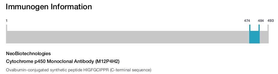 Cytochrome p450 Monoclonal Antibody (M12P4H2)