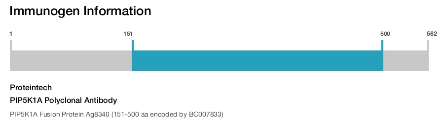 PIP5K1A Polyclonal Antibody