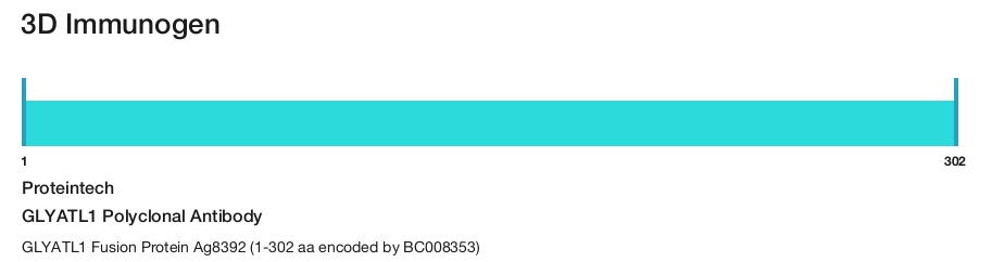 GLYATL1 Polyclonal Antibody