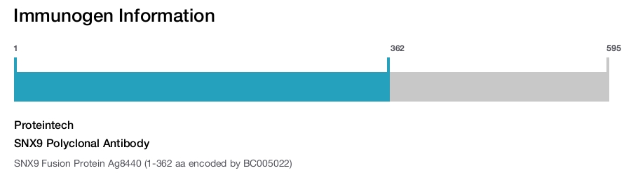 SNX9 Polyclonal Antibody
