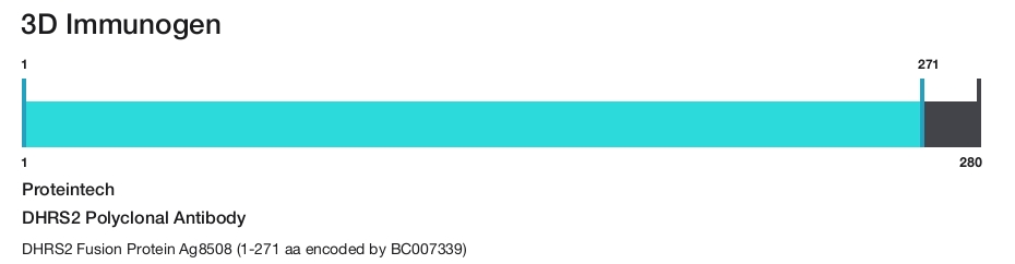 DHRS2 Polyclonal Antibody