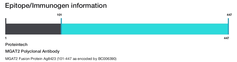 MGAT2 Polyclonal Antibody
