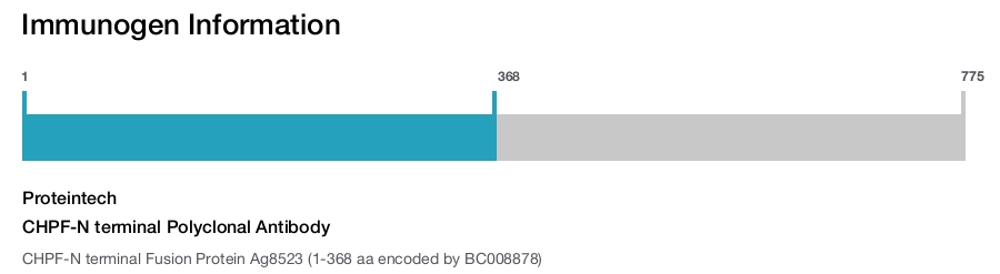 CHPF-N terminal Polyclonal Antibody