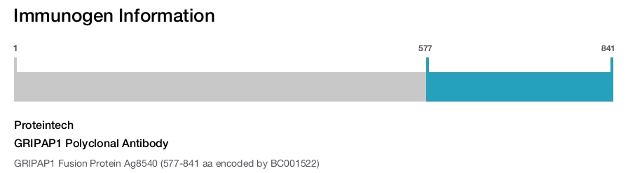 GRIPAP1 Polyclonal Antibody