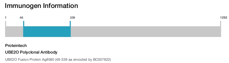UBE2O Polyclonal Antibody