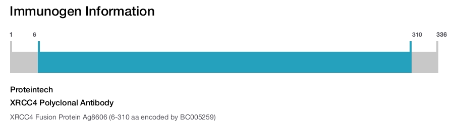 XRCC4 Polyclonal Antibody