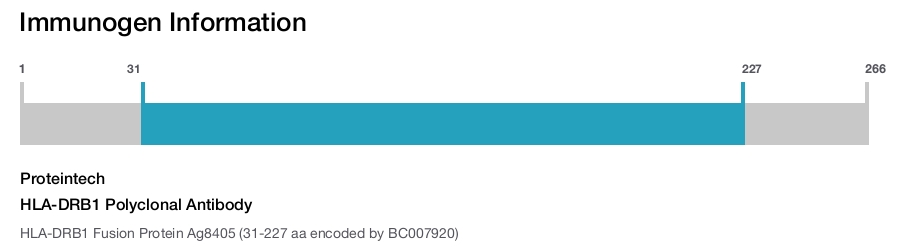 HLA-DRB1 Polyclonal Antibody