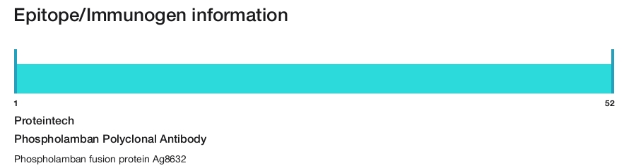 Phospholamban Polyclonal Antibody
