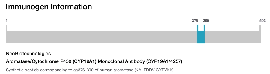 Aromatase/Cytochrome P450 (CYP19A1) Monoclonal Antibody (CYP19A1/4257)