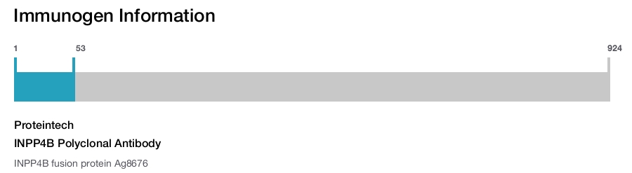 INPP4B Polyclonal Antibody
