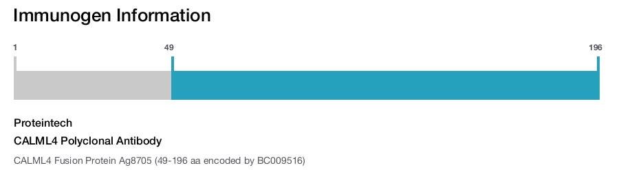 CALML4 Polyclonal Antibody