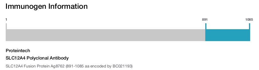 SLC12A4 Polyclonal Antibody