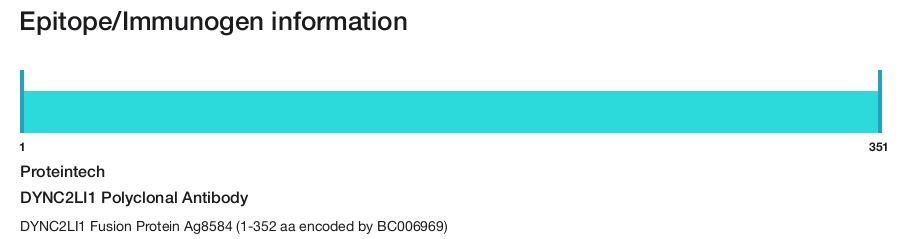 DYNC2LI1 Polyclonal Antibody