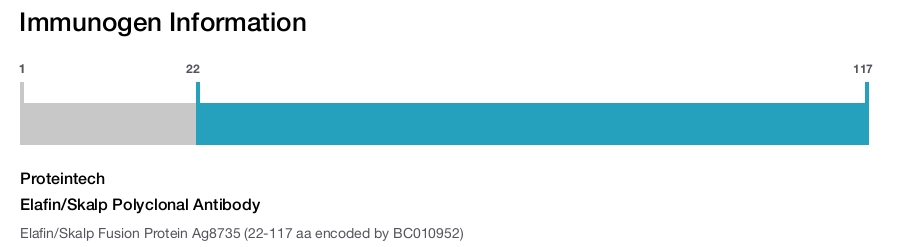 Elafin/Skalp Polyclonal Antibody