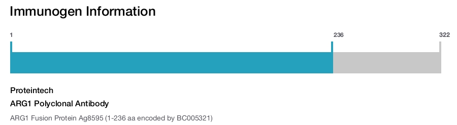 ARG1 Polyclonal Antibody