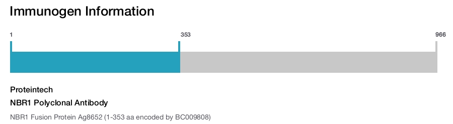 NBR1 Polyclonal Antibody