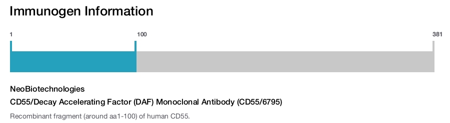 CD55/Decay Accelerating Factor (DAF) Monoclonal Antibody (CD55/6795)