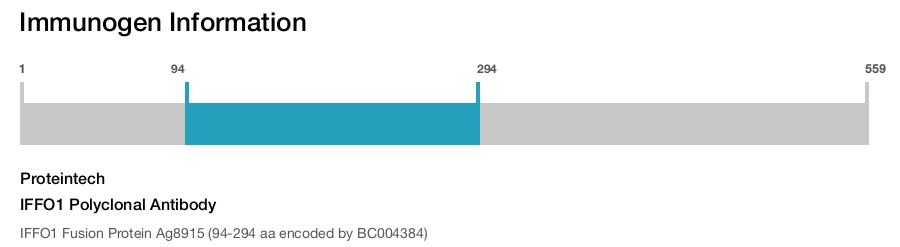 IFFO1 Polyclonal Antibody