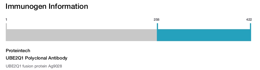 UBE2Q1 Polyclonal Antibody