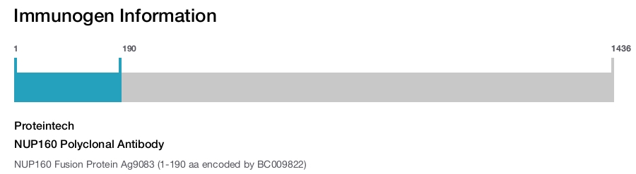 NUP160 Polyclonal Antibody