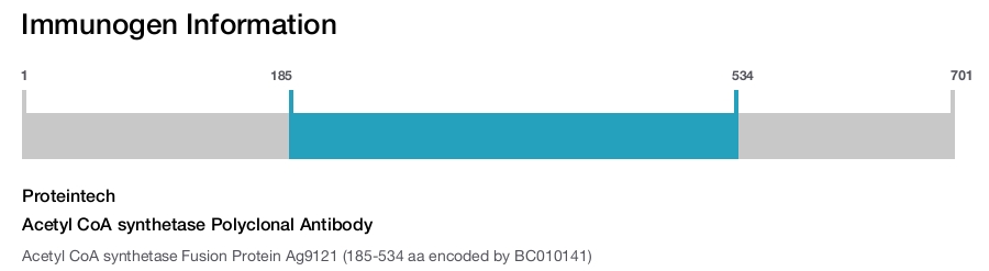 Acetyl CoA synthetase Polyclonal Antibody